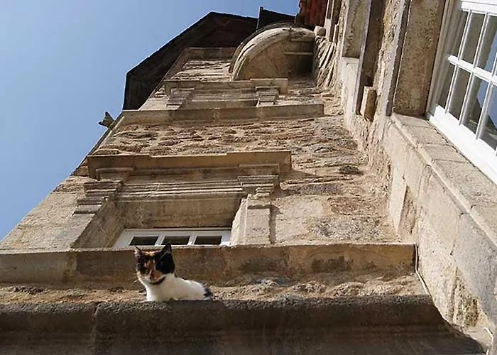 Maison au Loup - Superbe ancien hotel particulier du XVIe siècle au cœur de la vieille ville du Puy